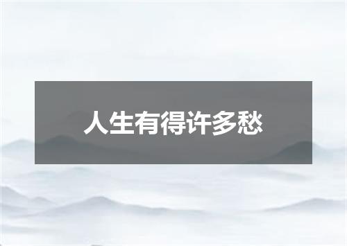 人生有得许多愁