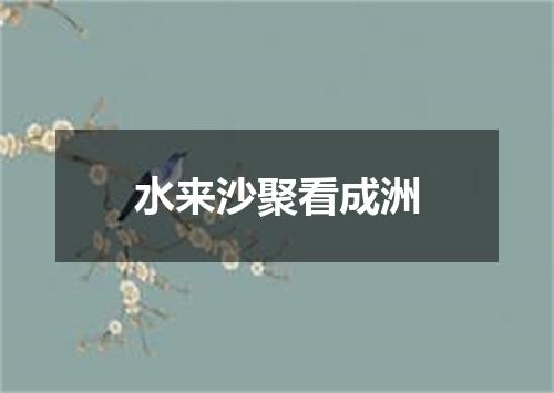 水来沙聚看成洲