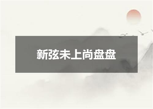 新弦未上尚盘盘