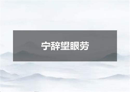 宁辞望眼劳
