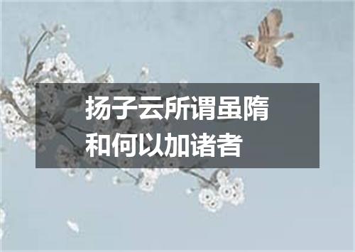 扬子云所谓虽隋和何以加诸者