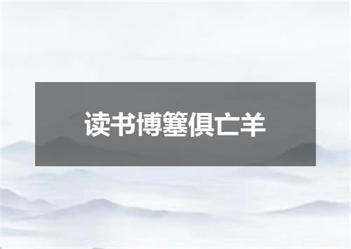 读书博簺俱亡羊
