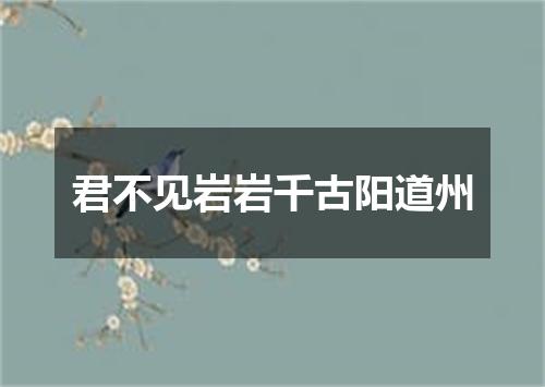 君不见岩岩千古阳道州