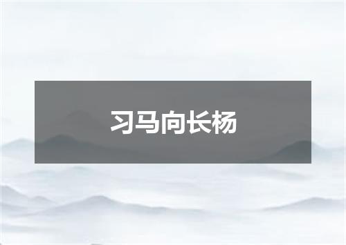 习马向长杨