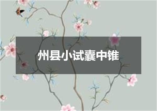 州县小试囊中锥