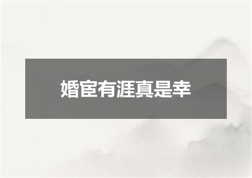 婚宦有涯真是幸