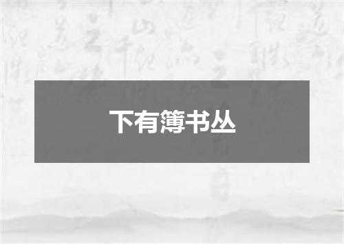 下有簿书丛