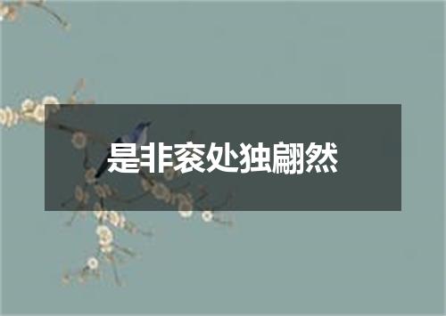 是非衮处独翩然