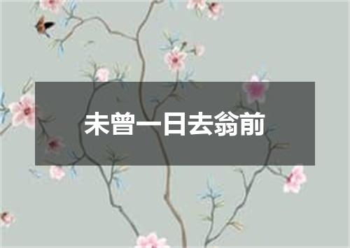 未曾一日去翁前