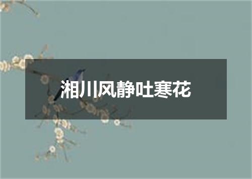 湘川风静吐寒花