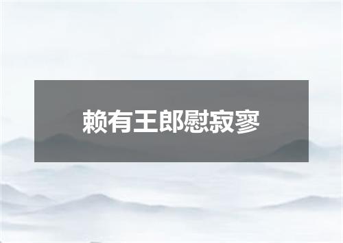赖有王郎慰寂寥