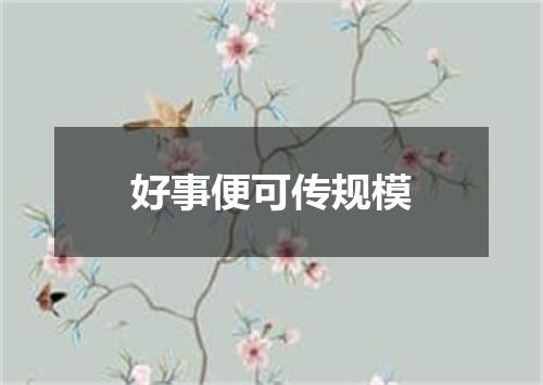 好事便可传规模