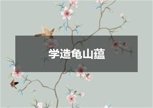 学造龟山蕴