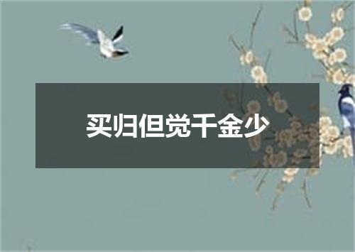 买归但觉千金少