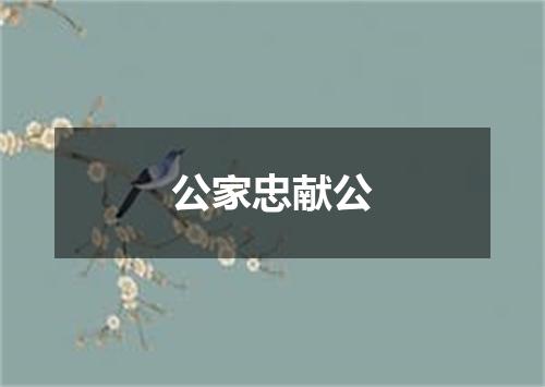公家忠献公