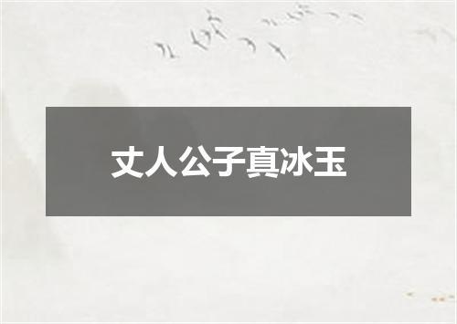 丈人公子真冰玉