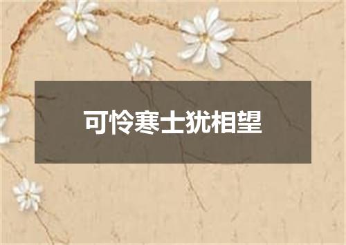 可怜寒士犹相望