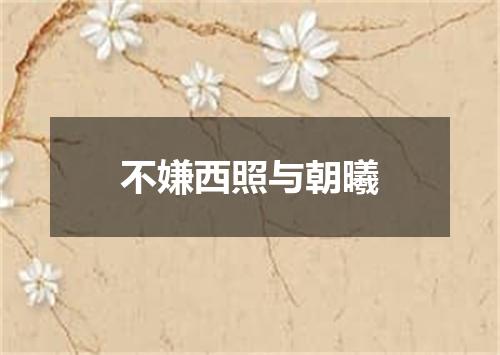 不嫌西照与朝曦