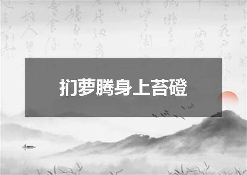 扪萝腾身上苔磴