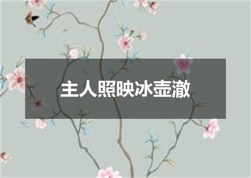 主人照映冰壶澈