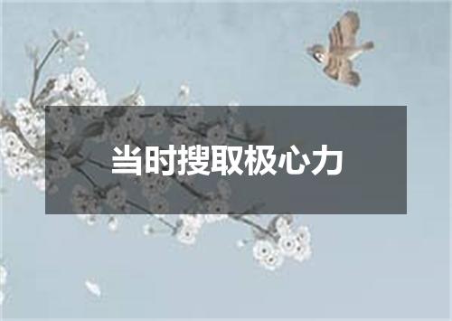 当时搜取极心力