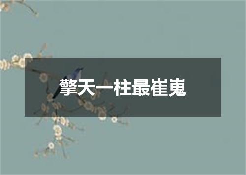 擎天一柱最崔嵬