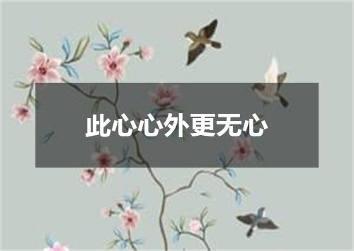 此心心外更无心