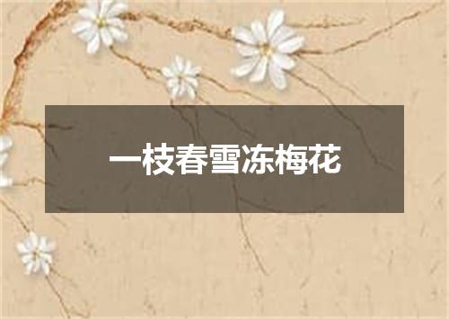 一枝春雪冻梅花