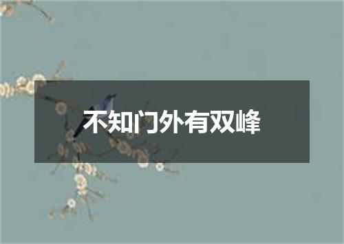 不知门外有双峰