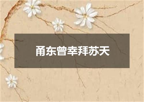 甬东曾幸拜苏天