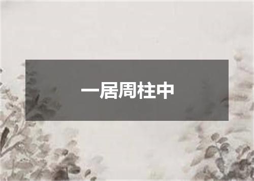 一居周柱中