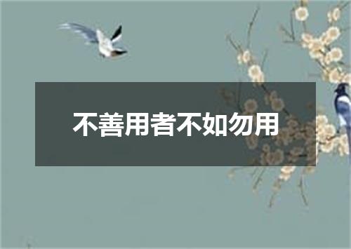 不善用者不如勿用