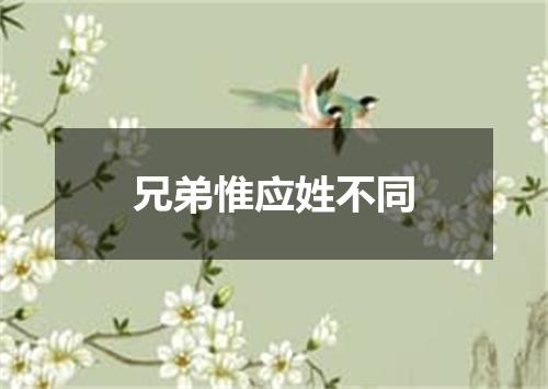 兄弟惟应姓不同