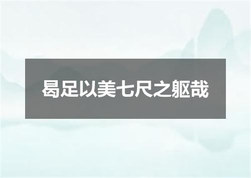 曷足以美七尺之躯哉