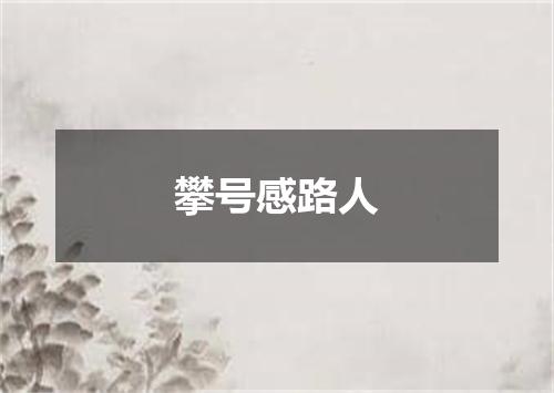 攀号感路人