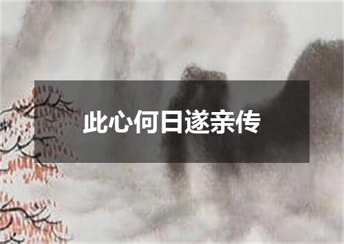 此心何日遂亲传