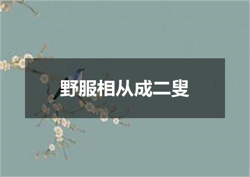 野服相从成二叟