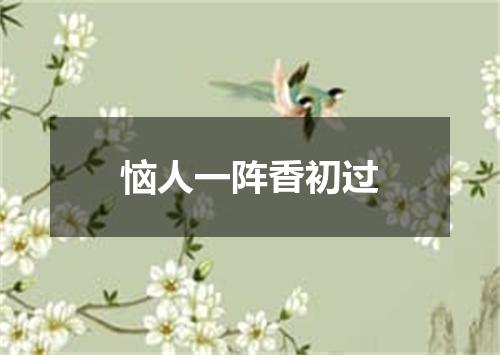 恼人一阵香初过
