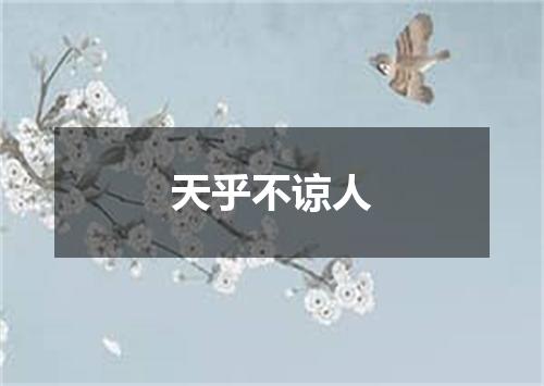 天乎不谅人