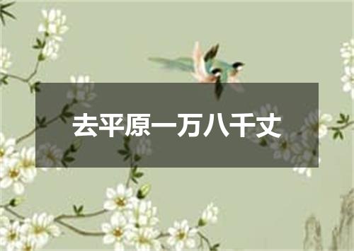 去平原一万八千丈