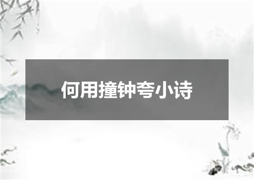 何用撞钟夸小诗
