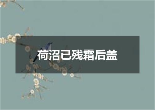 荷沼已残霜后盖