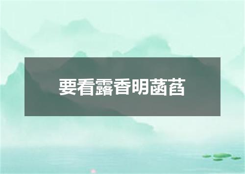 要看露香明菡萏