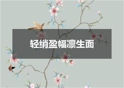 轻绡盈幅凛生面