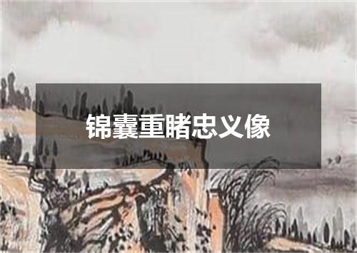 锦囊重睹忠义像