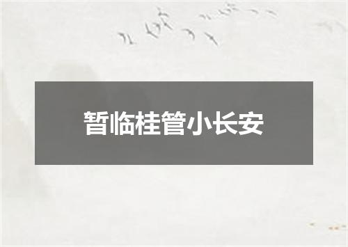 暂临桂管小长安