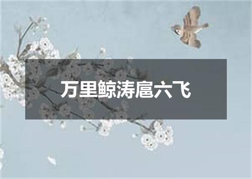 万里鲸涛扈六飞