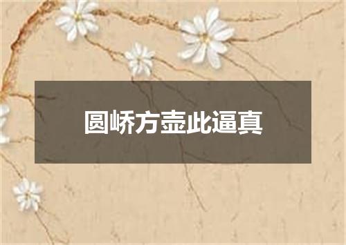 圆峤方壶此逼真