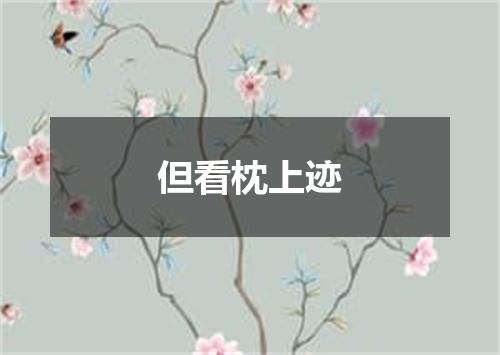 但看枕上迹