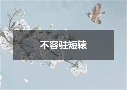 不容驻短辕